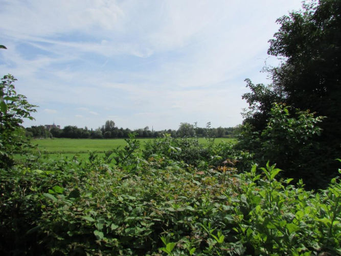 Grundstücke in Wesel - Bild 4