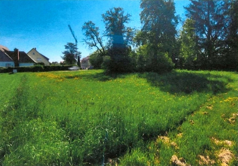 Grundstück in Bondorf - Bild 1