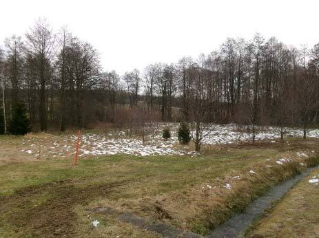 unbebautes Grundstück in Großhartmannsdorf - Bild 3