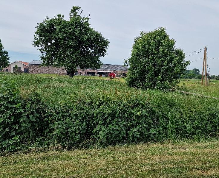 unbebautes Grundstück in Hamminkeln - Bild 3