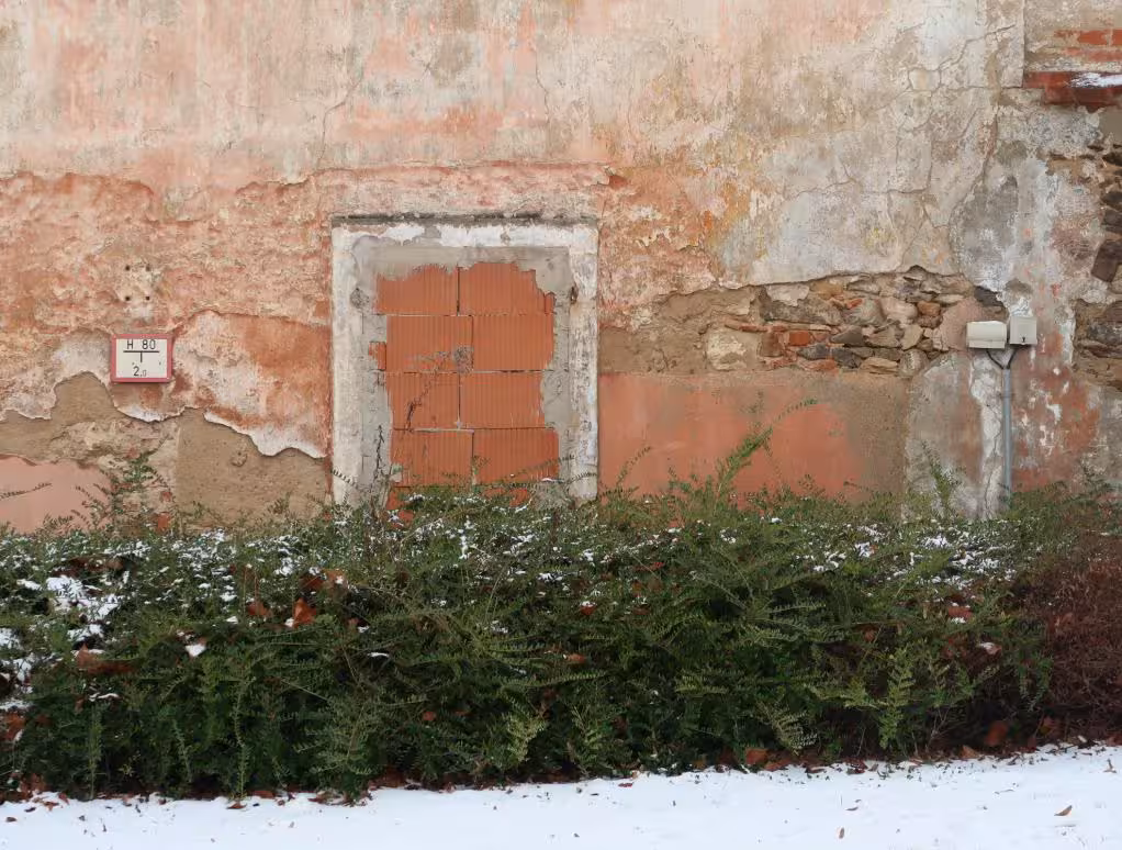 Einfamilienhaus in Riesa - Bild 5