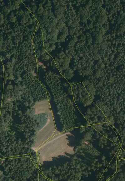 land- und forstwirtschaftlich genutztes Grundstück in Schlösselberg, 84100 Niederaichbach, Hüttenkofen - Bild 2