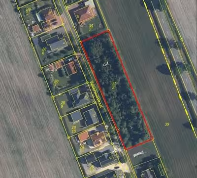 Sonstiges, unbebaute Gehölzfläche in Bauten, 26831 Bunde, Boen - Bild 1