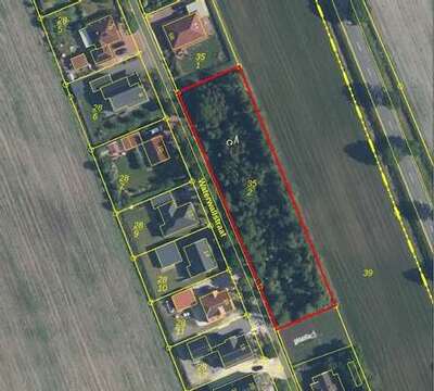 Sonstiges, unbebaute Gehölzfläche in Bauten, 26831 Bunde, Boen - Bild 1