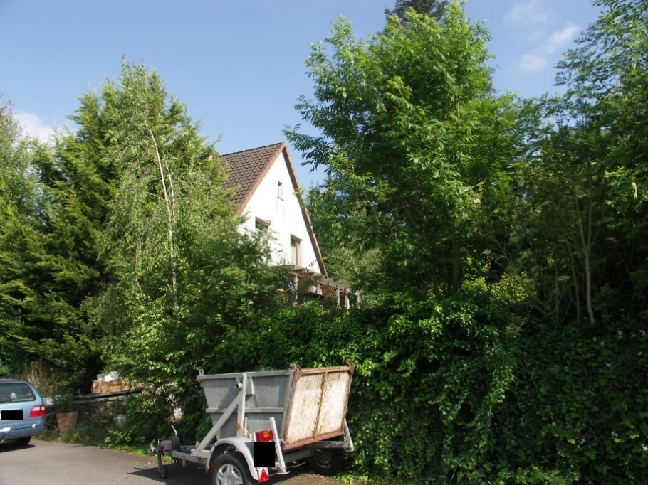 Einfamilienhaus in Rinteln - Bild 4