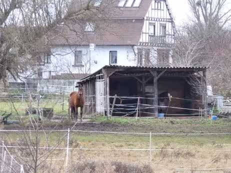 land- und forstwirtschaftlich genutztes Grundstück in Münster (Hessen) - Bild 3