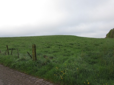 land- und forstwirtschaftlich genutztes Grundstück in Hinter dem Iversheimer Berg, 53945 Blankenheim - Bild 2