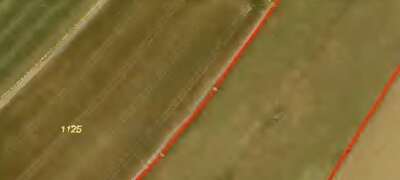 Landwirtschaftsfläche in Tännig, 00000 Lauterbach, Tännig - Bild 1