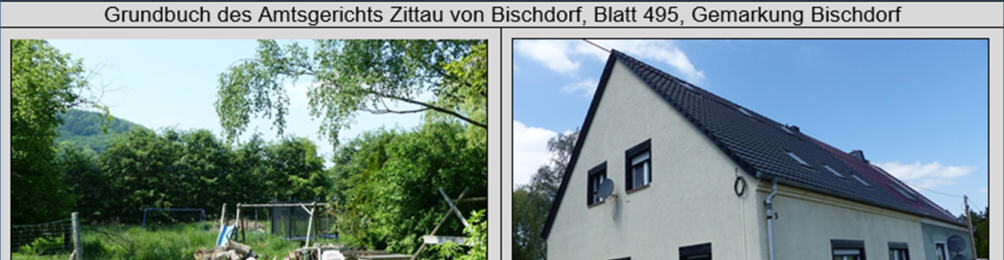 Garage, Abstellschuppen - Flst. 1091/2, Einfamilienwohnhaus - Flst. 1091/3 in Rosenbach - Bild 1