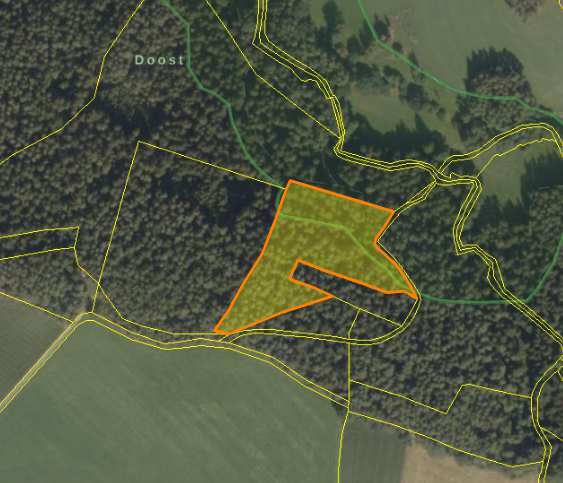 Waldfläche in Stadtkreis Freiburg im Breisgau - Bild 1