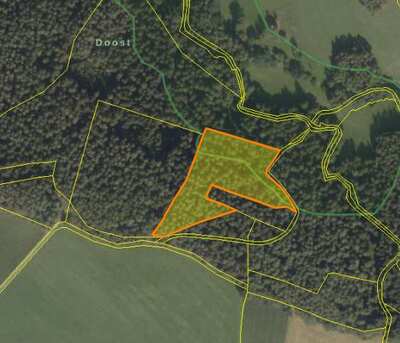 Waldfläche in Im Doost, 00000 Bergnetsreuth - Bild 1