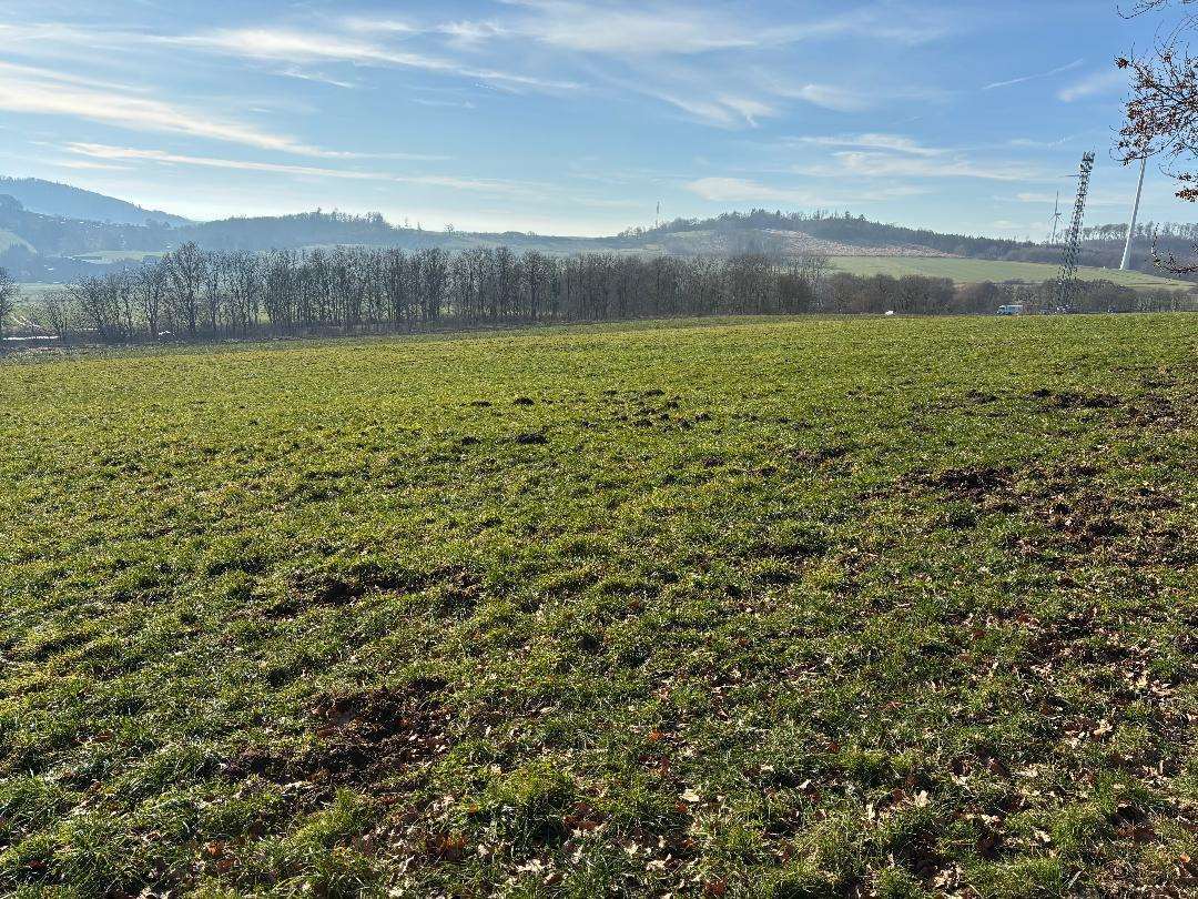 land- und forstwirtschaftlich genutztes Grundstück in Schauenburg - Bild 1