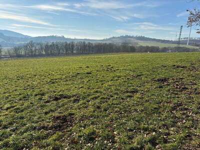 land- und forstwirtschaftlich genutztes Grundstück in Schmollenstück, 34270 Schauenburg, Hoof - Bild 1