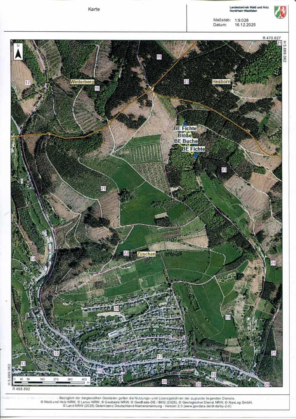 land- und forstwirtschaftlich genutztes Grundstück in Winterberg - Bild 3