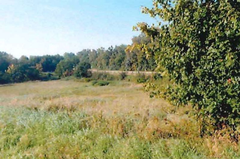 Landwirtschaftsflächen in Schnakenbek - Bild 3