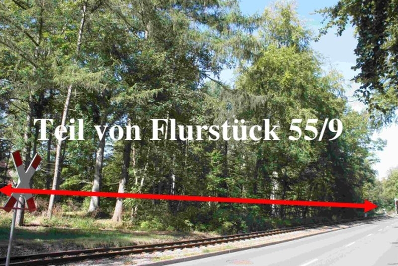 Mehrere Grundstücke (im Wesentlichen unbebaut) in Bad Doberan - Bild 4