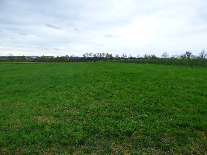 land- und forstwirtschaftlich genutztes Grundstück in Nossen - Bild 2