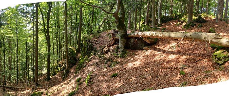 unbebautes Grundstück in Lahr/Schwarzwald - Bild 4