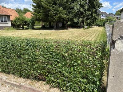 unbebautes Grundstück in Alter Stadtweg, 37574 Einbeck, Salzderhelden - Bild 1