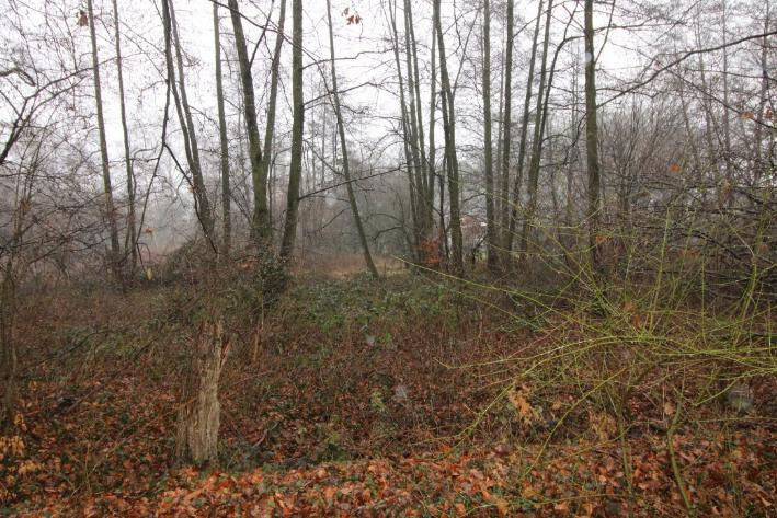 land- und forstwirtschaftlich genutztes Grundstück, unbebautes Grundstück in Münster - Bild 3