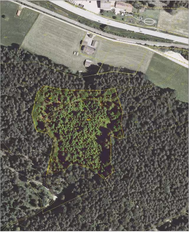 land- und forstwirtschaftlich genutztes Grundstück in Garmisch-Partenkirchen - Bild 3