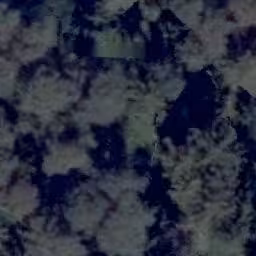 land- und forstwirtschaftlich genutztes Grundstück in Flachslanden - Bild 1