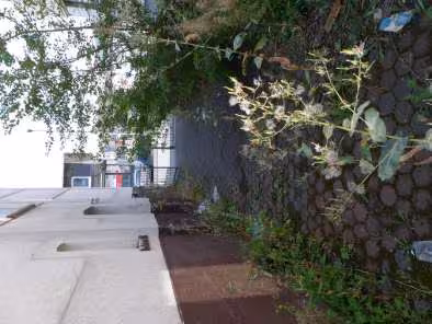 Doppelhaushälfte, Sonstiges in Herborn - Bild 4