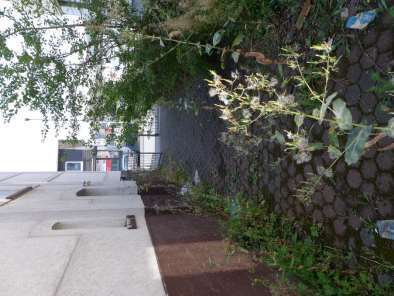 Doppelhaushälfte, Sonstiges in Herborn - Bild 4