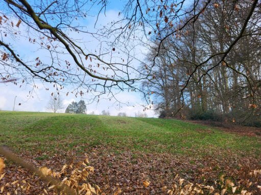 land- und forstwirtschaftlich genutztes Grundstück, land- und forstwirtschaftlich genutztes Grundstück, land- und forstwirtschaftlich genutztes Grundstück, land- und forstwirtschaftlich genutztes Grundstück in Burscheid - Bild 4