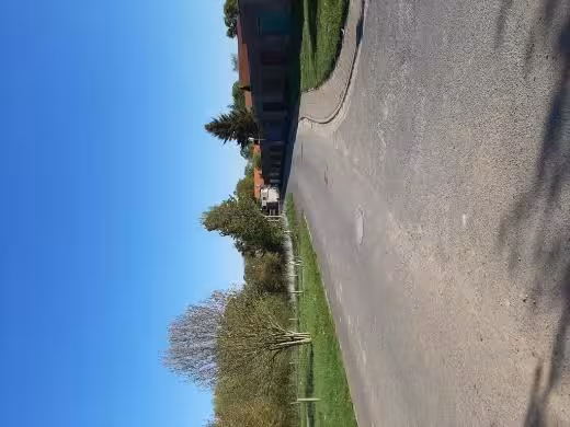 Einfamilienhaus in Wolfshagen - Bild 2