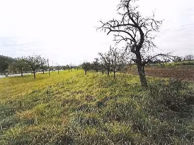 Grünfläche in Stumpenäcker, 71691 Freiberg am Neckar - Heutingheim - Bild 2