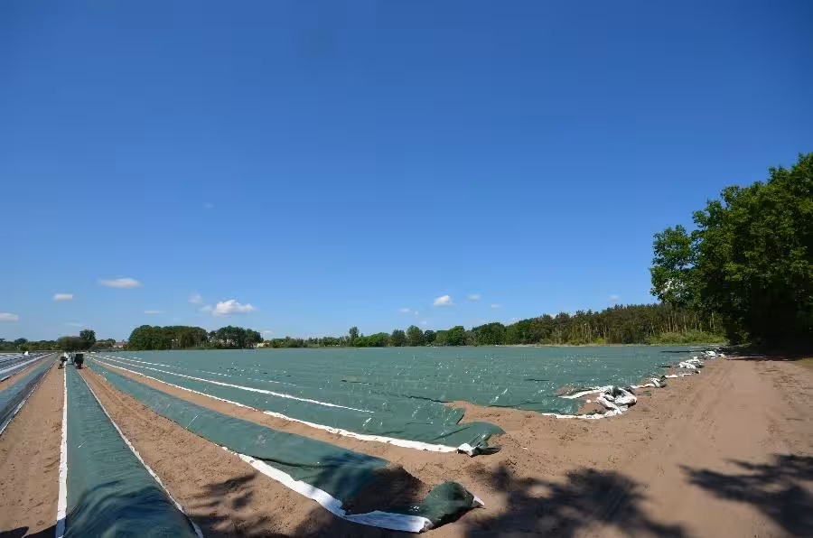 land- und forstwirtschaftlich genutztes Grundstück in Kremmen - Bild 1