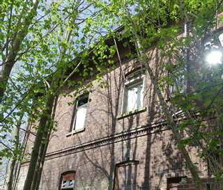 Wohn-/Geschäftshaus in Stemshorn - Bild 2