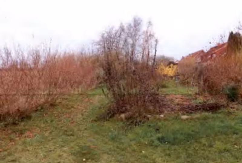 Verkehrsflächen/öffentliche Parkanlage in Niepars - Bild 3