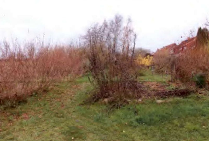 Verkehrsflächen/öffentliche Parkanlage in Niepars - Bild 3