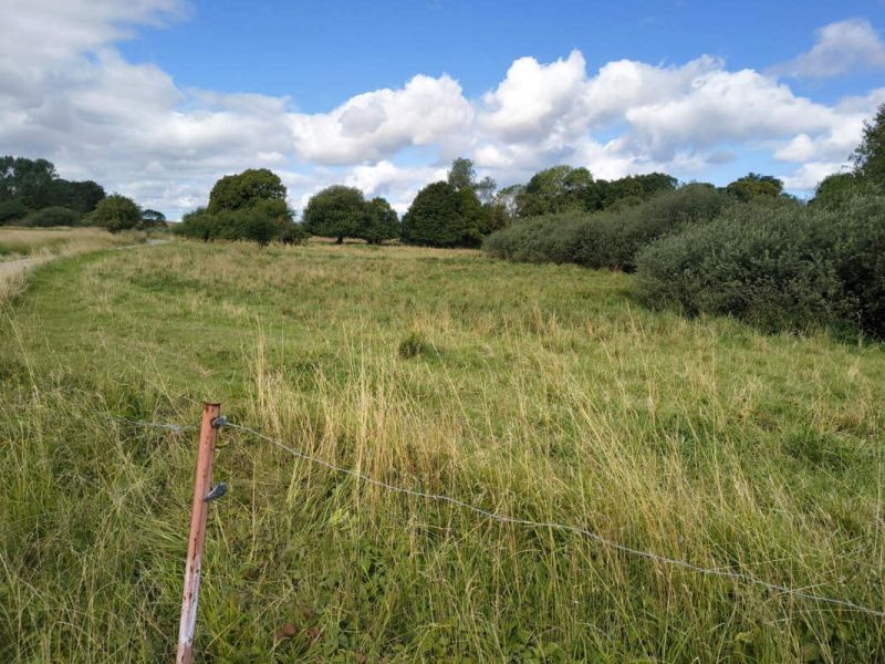 Land-/Forstwirtschaftsflächen und Grundstück mit ruinösem Haus in Sagard - Bild 4