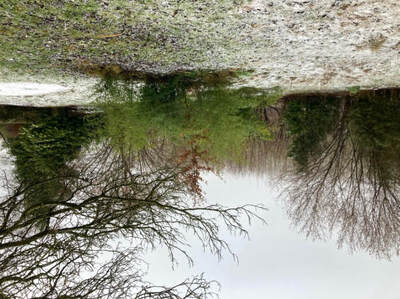 Sonstiges in Am Tiefen Graben, 85221 Dachau - Bild 2
