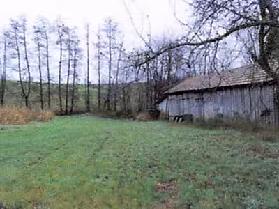 Landwirtschaftliches Grundstück in , 69168 Wiesloch - Schatthausen - Bild 1