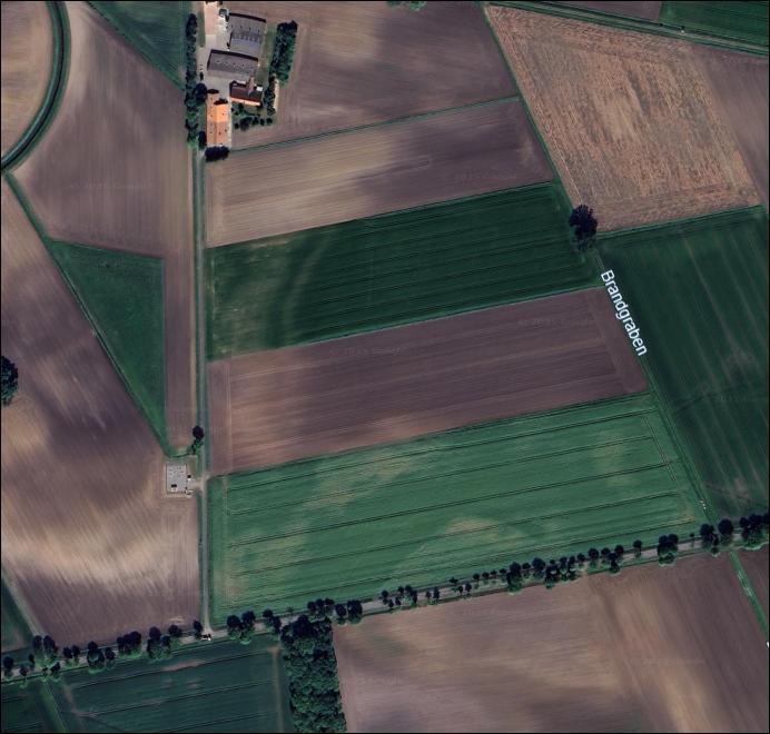 land- und forstwirtschaftlich genutztes Grundstück in Lembruch - Bild 1