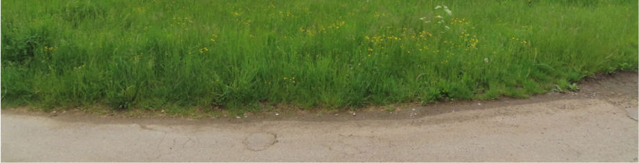 land- und forstwirtschaftlich genutztes Grundstück in Königsbrunn - Bild 1