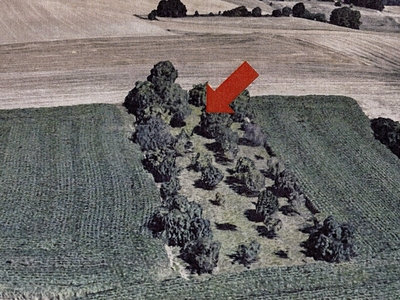 Landwirtschaftsfläche in , 69168 Wiesloch-Schatthausen - Bild 1