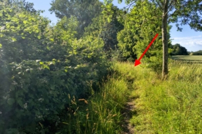 Ruinöse ehem. Gärtnerei und Verkehrsfläche in Erlengrund 1, 18445 Kramerhof OT Groß Kedingshagen - Bild 2