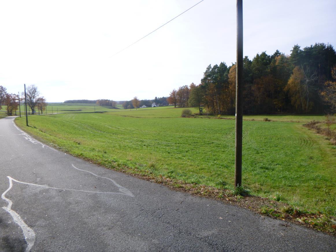 land- und forstwirtschaftlich genutztes Grundstück in null - Bild 3