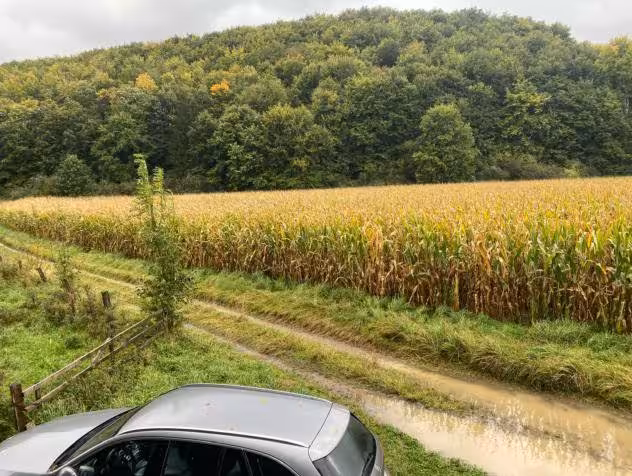 land- und forstwirtschaftlich genutztes Grundstück in Husen - Bild 5