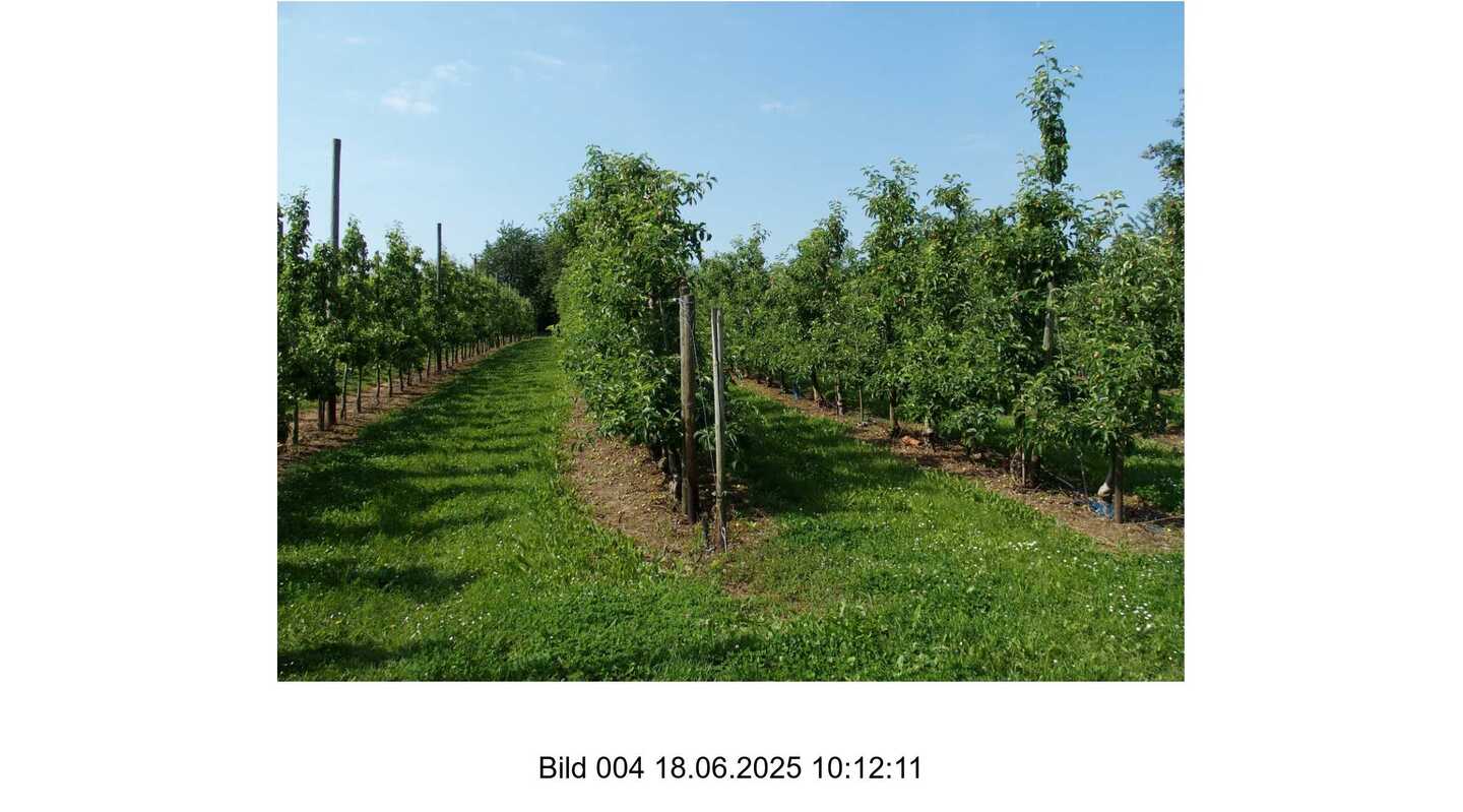 Sonstiges in Hofheim am Taunus - Bild 3