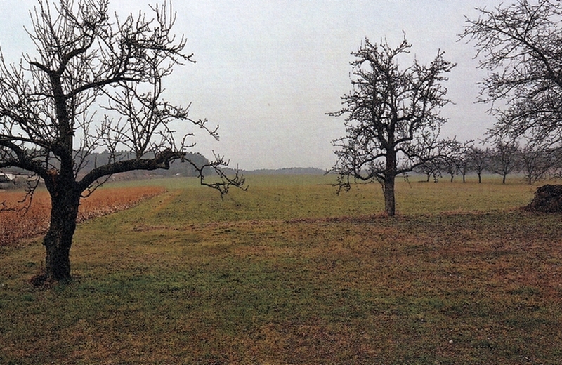Land-/Forstwirtschaftsflächen in Eisenhüttenstadt - Bild 1