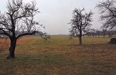 Land-/Forstwirtschaftsflächen in , 15890 Eisenhüttenstadt OT Diehlo - Bild 1