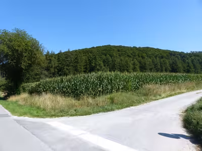 land- und forstwirtschaftlich genutztes Grundstück in Kesselbrink, 37586 Dassel, Krimmensen - Bild 1