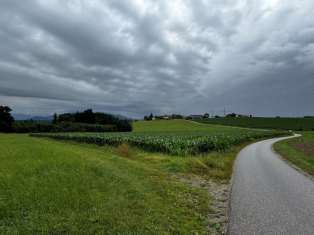 unbebautes Grundstück in Werneuchen - Bild 2