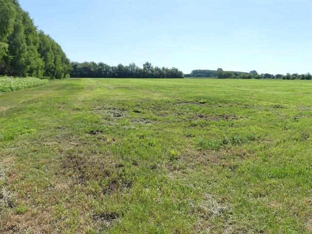 land- und forstwirtschaftlich genutztes Grundstück in Drebber - Bild 3